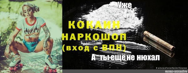 гидра Баксан
